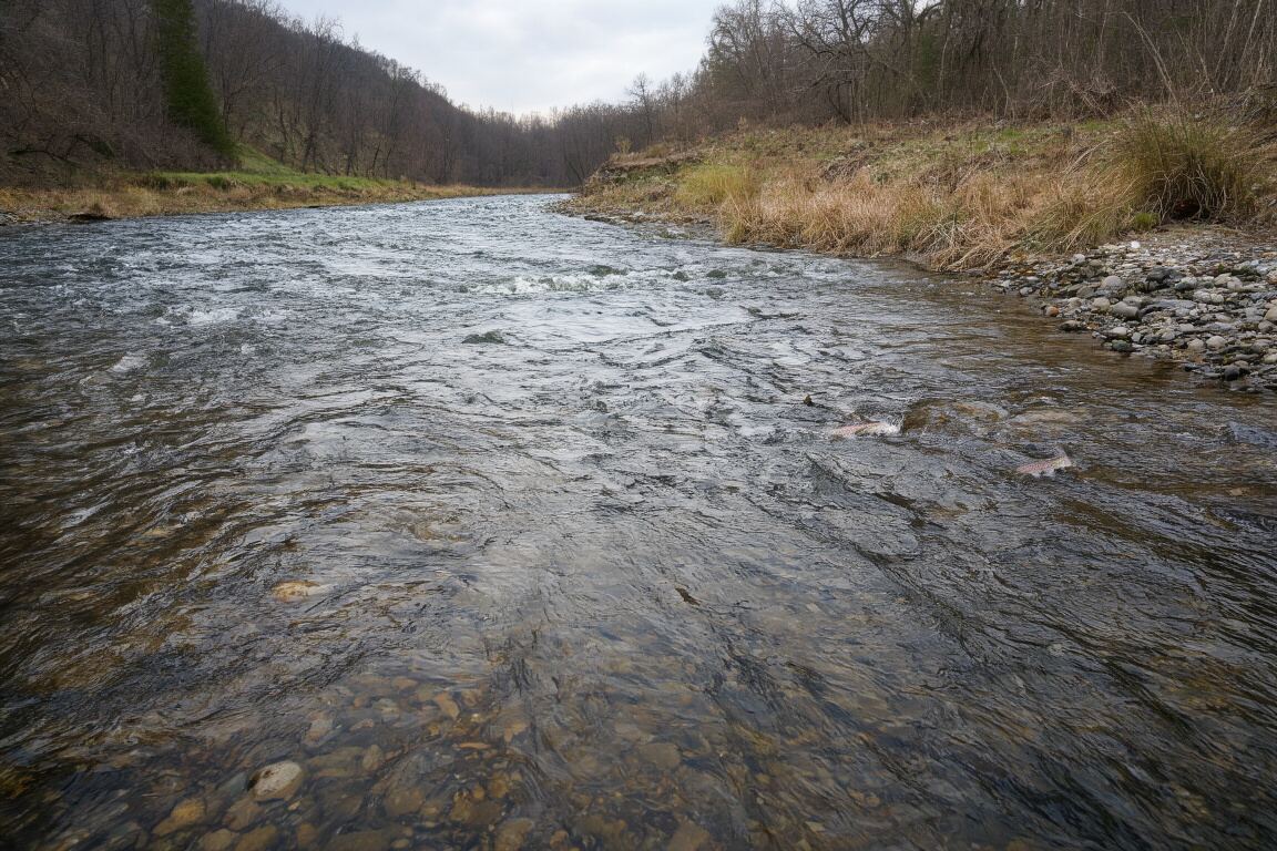 A fly line drawing a clean loop above a shaded run and pale gravel edge, prepared for the fly fishing methods field note