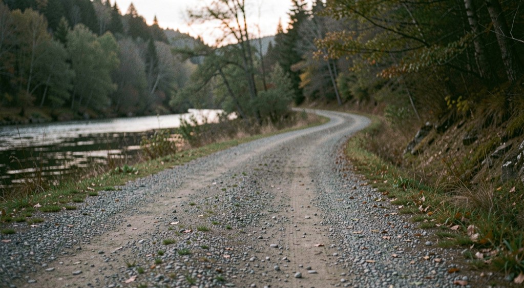 A quiet gravel access road leading toward a wooded river bend at low light, prepared for the shad fly pattern field note