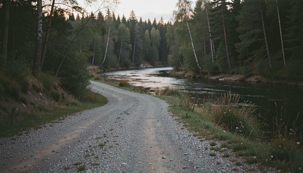 A quiet gravel access road leading toward a wooded river bend at low light, prepared for the trout fishing field note